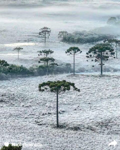 Neve em São Joaquim