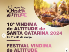 Brindando à Tradição: A 10ª Vindima de Altitude de Santa Catarina e a Experiência Única na Pousada Maçã Araucária Vindima 2024 em São Joaquim SC