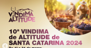 Brindando à Tradição: A 10ª Vindima de Altitude de Santa Catarina e a Experiência Única na Pousada Maçã Araucária Vindima 2024 em São Joaquim SC