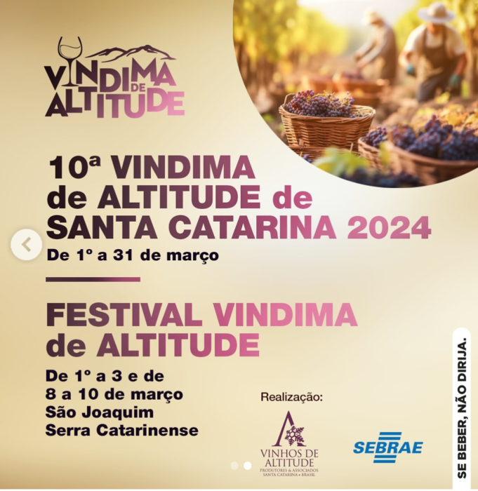 Vindima 2024 em São Joaquim SC