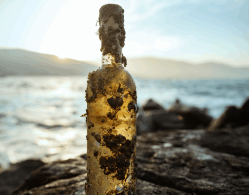 Do Alto da Serra às Profundezas do Mar com a Vinícola Fama: conheça essa linha exclusiva Vinhos subaquaticos - fundo do mar