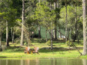 Turismo internacional em Santa Catarina cresce 71,19% e bate recorde histórico em 2025