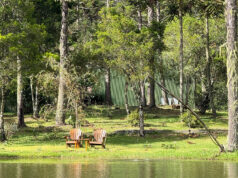 Turismo internacional em Santa Catarina cresce 71,19% e bate recorde histórico em 2025