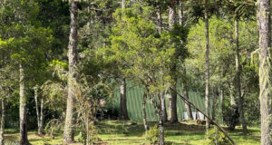 Turismo internacional em Santa Catarina cresce 71,19% e bate recorde histórico em 2025