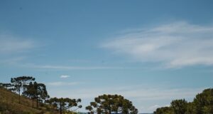 Da altitude à excelência: a evolução da vitivinicultura em São Joaquim