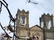 A primavera chegou e trouxe essa magia para São Joaquim com o Florescer das Cerejeiras