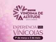Vindima de Altitude de Santa Catarina 2026: quando São Joaquim vive sua alta temporada mais disputada