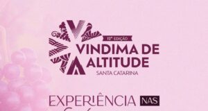 Vindima de Altitude de Santa Catarina 2026: quando São Joaquim vive sua alta temporada mais disputada