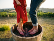 1ª Pisa da Uva em São Joaquim: Viva a Tradição da Vindima 2026 na Serra Catarinense