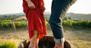 1ª Pisa da Uva em São Joaquim: Viva a Tradição da Vindima 2026 na Serra Catarinense